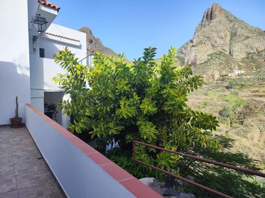 La Casa Vieja Villa Santa Cruz de Tenerife Exterior photo